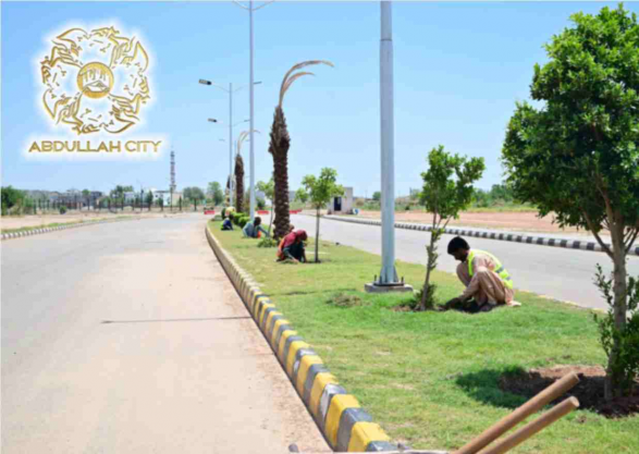 Development on Peak June 2025 / Construction work on Peak in June 2025 / Latest Development in June 